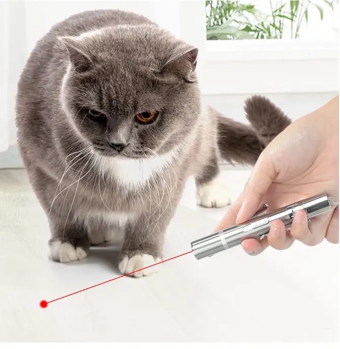 2023 Manufacturer wholesale custom automatic interactive teaser pet laser pointer light cat laser to