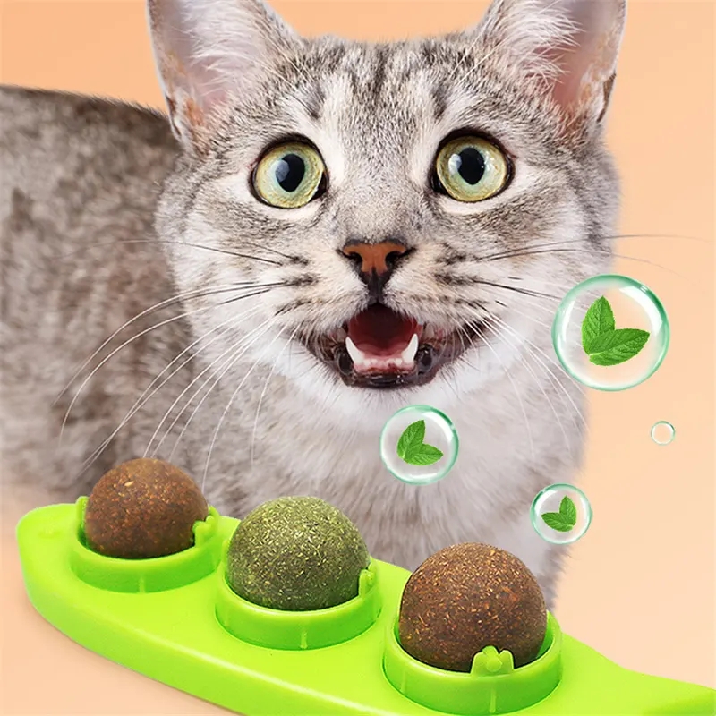 Wholesale custom 2023 new cat toys natural silvervine gall fruit catnip ball toy toys for cats