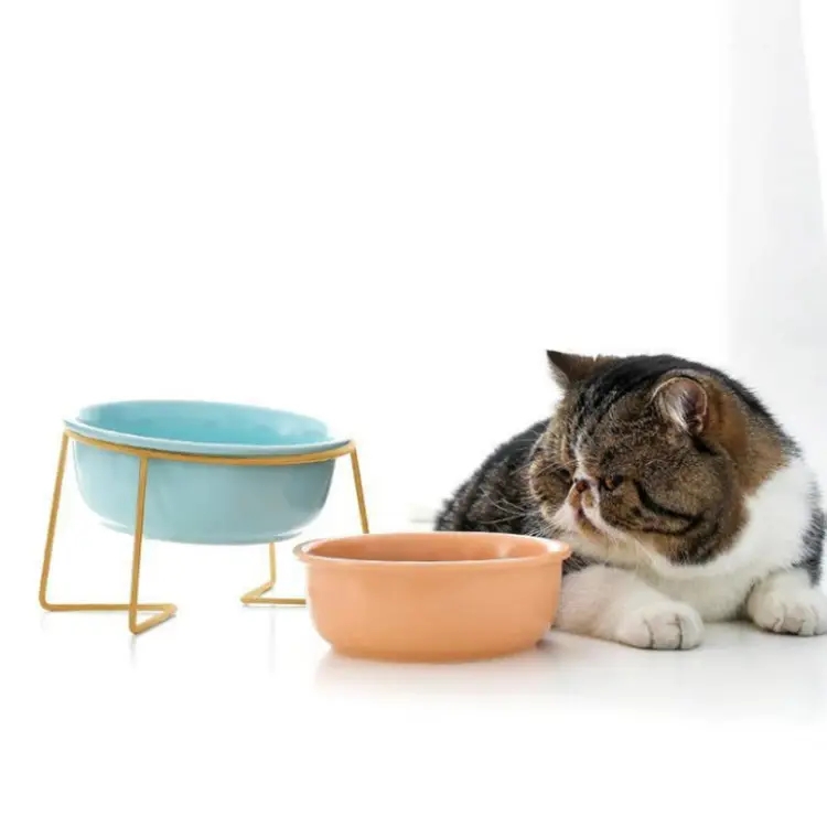 Wholesale New design creative Nordic elevated ceramic food water bowl pet dog with stand
