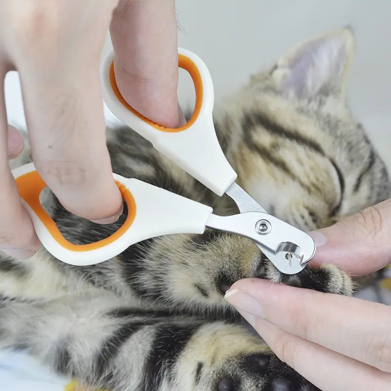 Pet Products Cat Special Nail Knife Stainless Steel Anti Blood Thread Pet Nail Clipper Cat Dog Nail 