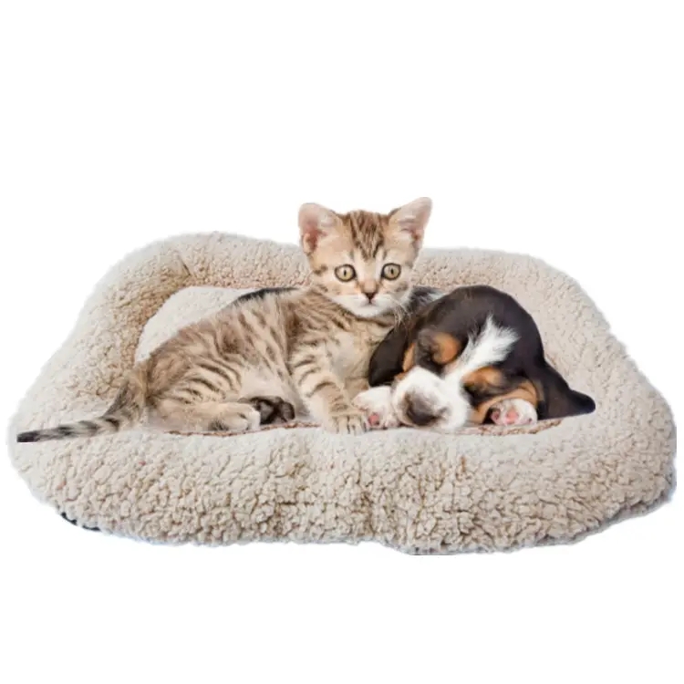 Manufacturer wholesale faux fur washable free shipping soft mini beds pet beds